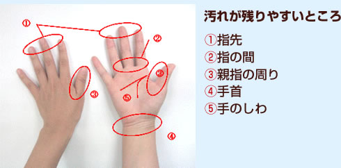 【汚れが残りやすいところ】(1)指先（2）指の間（3）親指の周り（4）手首（5）手のしわ
