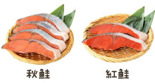 秋鮭、紅鮭