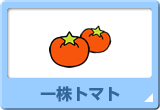 一株トマト